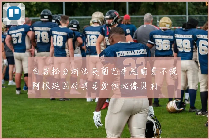 白岩松分析法英葡巴夺冠前景不提阿根廷因对其喜爱担忧像贝利